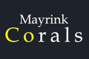 mayrink-corals.jpg